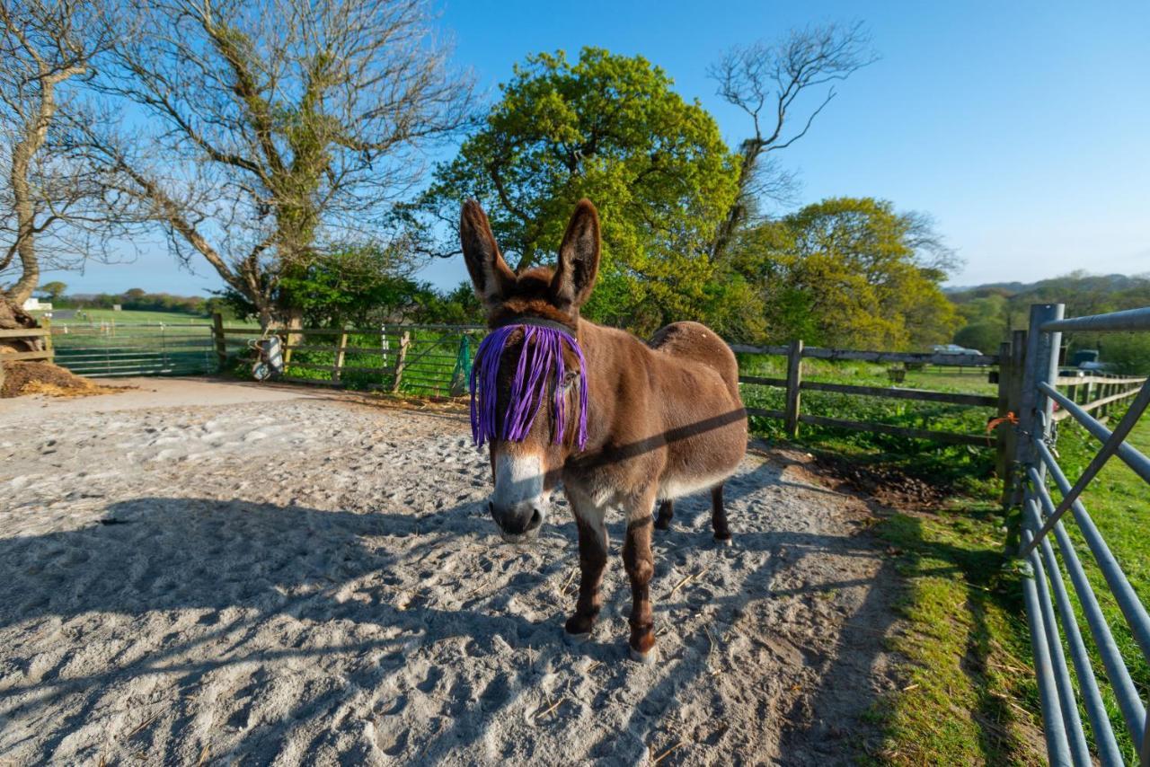 Beautiful Willow Lodge 67-4-6 Persons-Private Hot Tub-Pet Friendly-Tranquil Holiday Away From It All Yet Not Far To St Austell-The Holiday Home Has Two Bedrooms, Living & Dining Area, Equipped Kitchen -Decking-Al Fresco Dining-Fishing Lakes-Pet Frien Grampound Exteriér fotografie