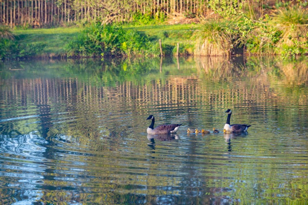 Beautiful Willow Lodge 67-4-6 Persons-Private Hot Tub-Pet Friendly-Tranquil Holiday Away From It All Yet Not Far To St Austell-The Holiday Home Has Two Bedrooms, Living & Dining Area, Equipped Kitchen -Decking-Al Fresco Dining-Fishing Lakes-Pet Frien Grampound Exteriér fotografie