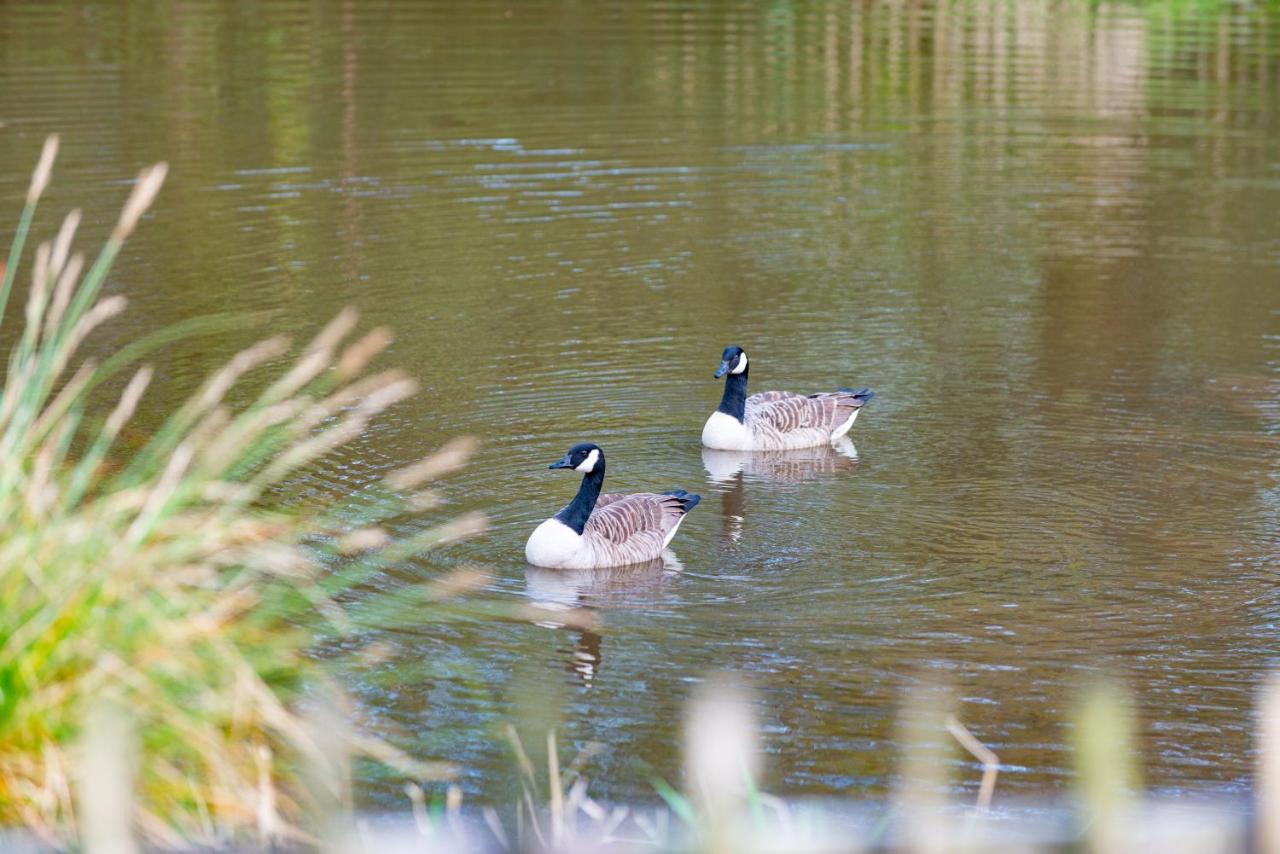 Beautiful Willow Lodge 67-4-6 Persons-Private Hot Tub-Pet Friendly-Tranquil Holiday Away From It All Yet Not Far To St Austell-The Holiday Home Has Two Bedrooms, Living & Dining Area, Equipped Kitchen -Decking-Al Fresco Dining-Fishing Lakes-Pet Frien Grampound Exteriér fotografie